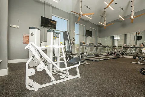 Stylish Fitness Center