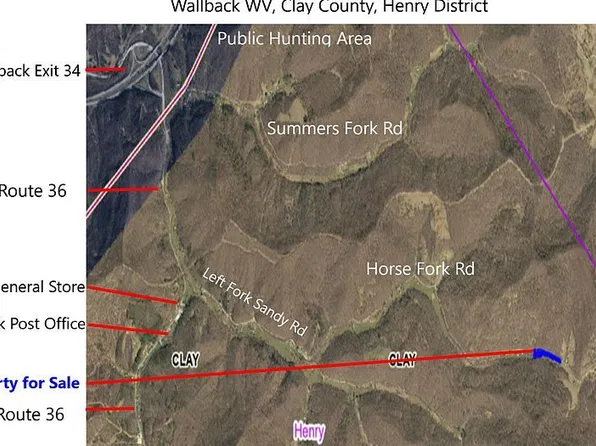 18XX Horse Fork Rd, Wallback, WV 25285
