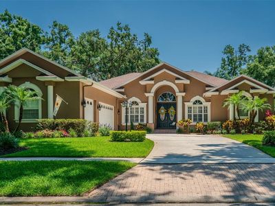 2417 Valrico Forest Dr, Valrico, FL, 33594