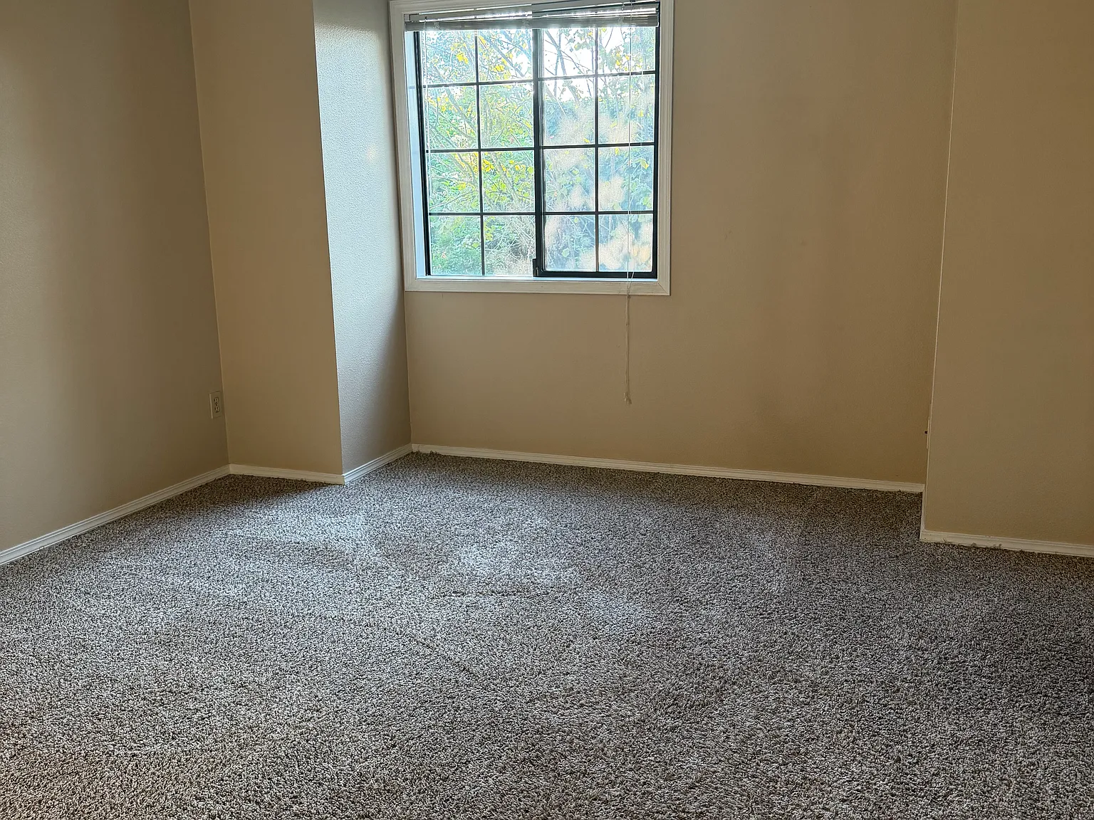 2 bed, 800 sqft, $1,600 — Photo 1