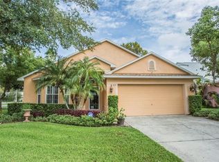 509 Cypress View Dr, Oldsmar, FL 34677