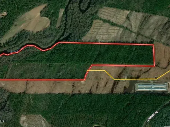 137.18 Ac Ivanhoe Road, Ivanhoe, NC 28447