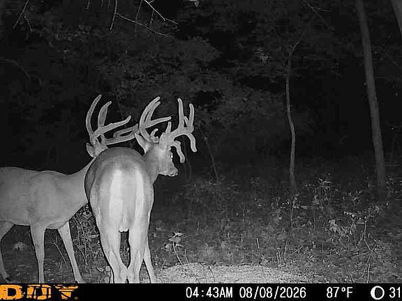 4th image of 5370 County Road 6400