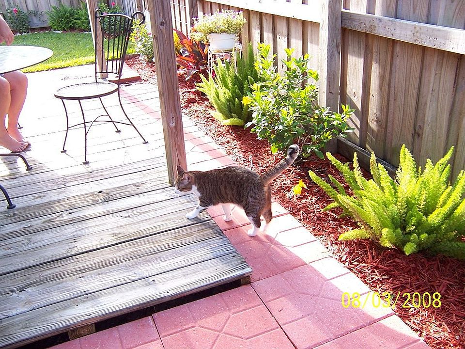 Back Patio