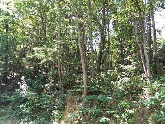 3rd image of Heiden Dr
