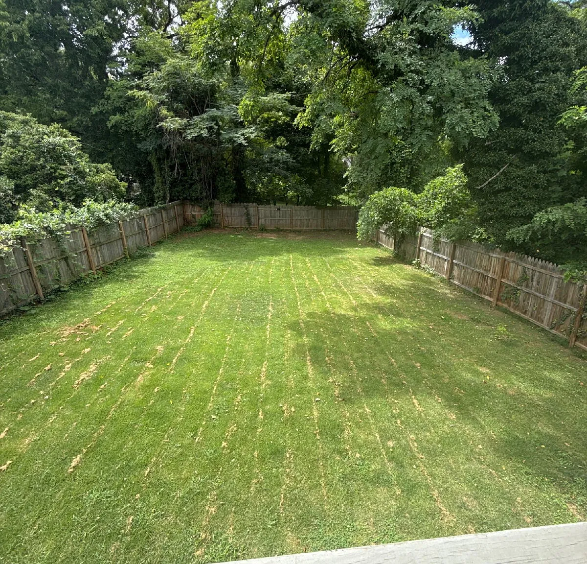 3 bed, 2.0 bath, $1,875 — Photo 3