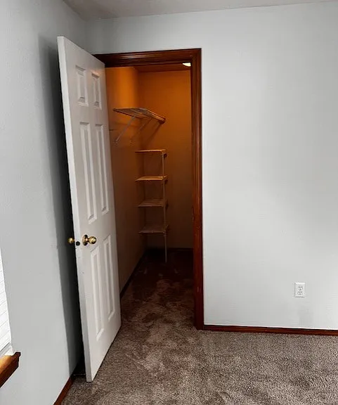 Large walk-in closet