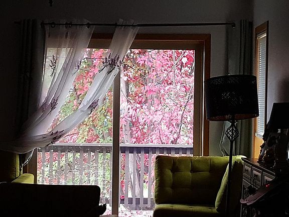 Picture Patio Window View