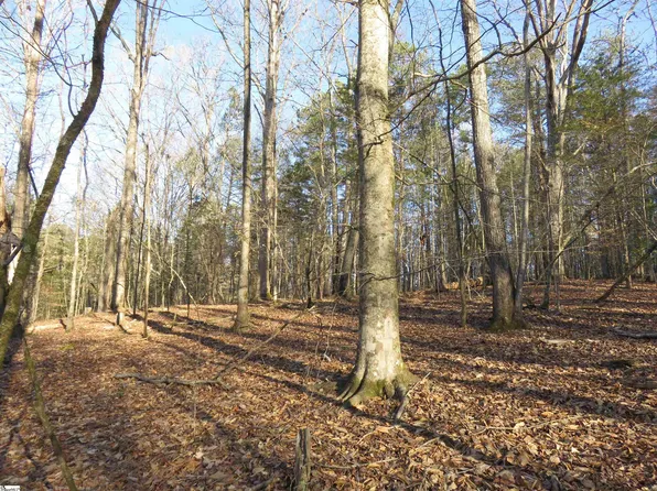0 Price House Rd Lot 3, Woodruff, SC 29388