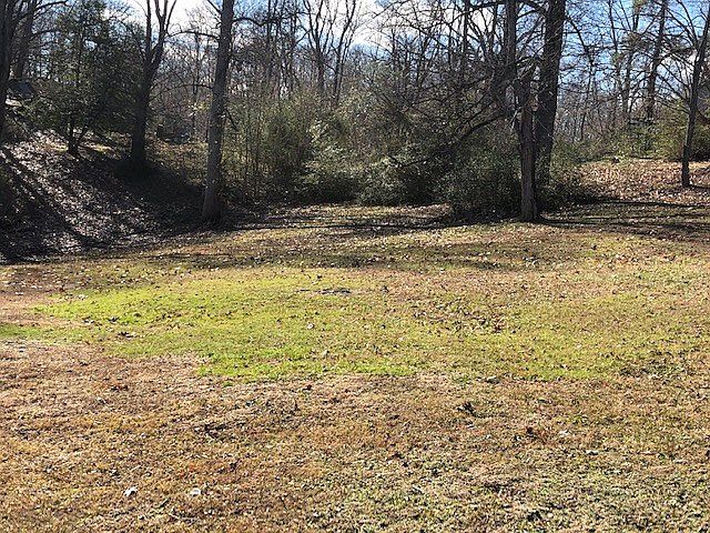 2nd image of 1716 Holly Creek Rd