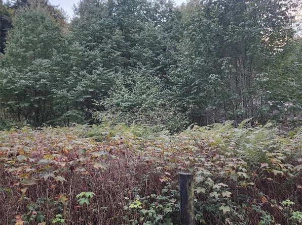 4828 Schwarzmiller Road, Lake Stevens, WA 98258