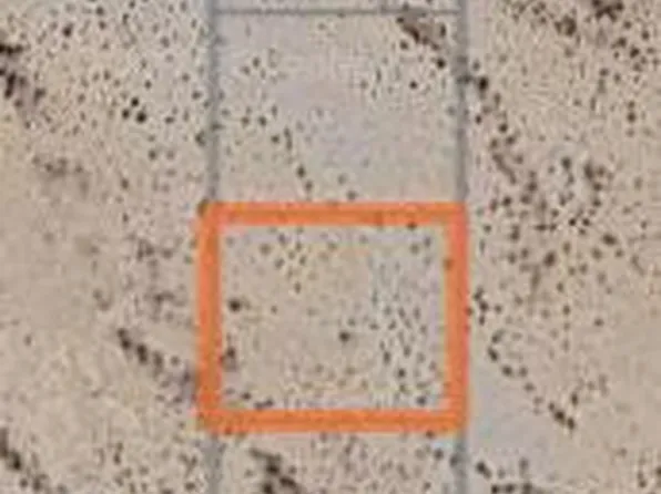 547 M S 547th Avenue #M, Tonopah, AZ 85354