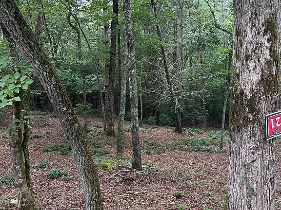 3rd image of 21 Brasstown