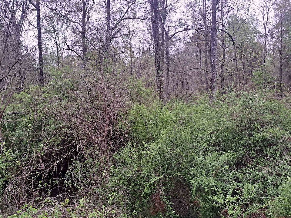 2nd image of 0 Shipp St