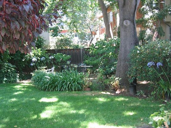 5th image of 837 Cowper St APT K