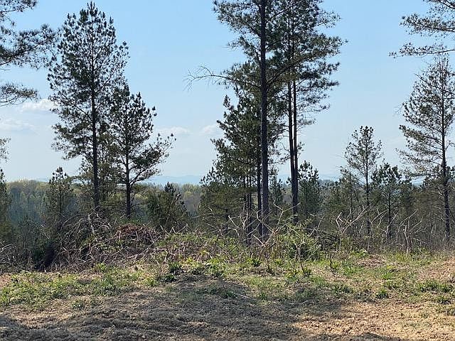 1st image of 9 County Road 351