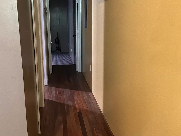 611 N Carrollton Ave #2 — Photo 6