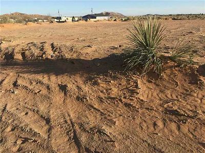 15290 Cactus Flower, El Paso, TX, 79938