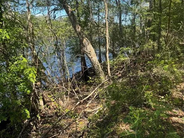 SW 25th Pl Lot 27, Bell, FL 32619