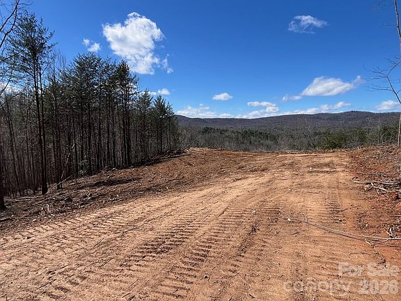 5th image of Vein Mountain Rd #2