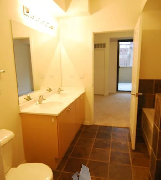 1464 S Michigan Ave #2306 — Photo 5