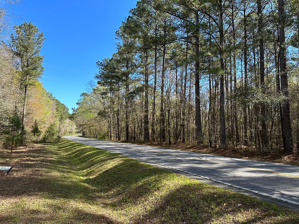 Paved road frontage with Francis Marion National Forest across from the entrance.