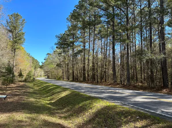 358 Fallon Amber Way, Bonneau, SC 29431