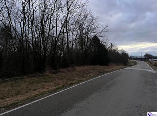 33AC Hedgepeth Rd, Canmer, KY 42722