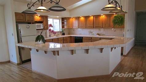Large Kitchen