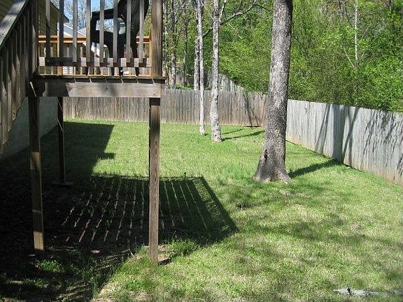 Back yard