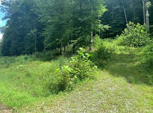 0 Mountain Laurel Rd, Summersville, WV 26651