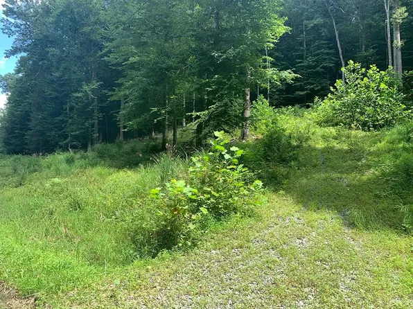 0 Mountain Laurel Rd, Summersville, WV 26651