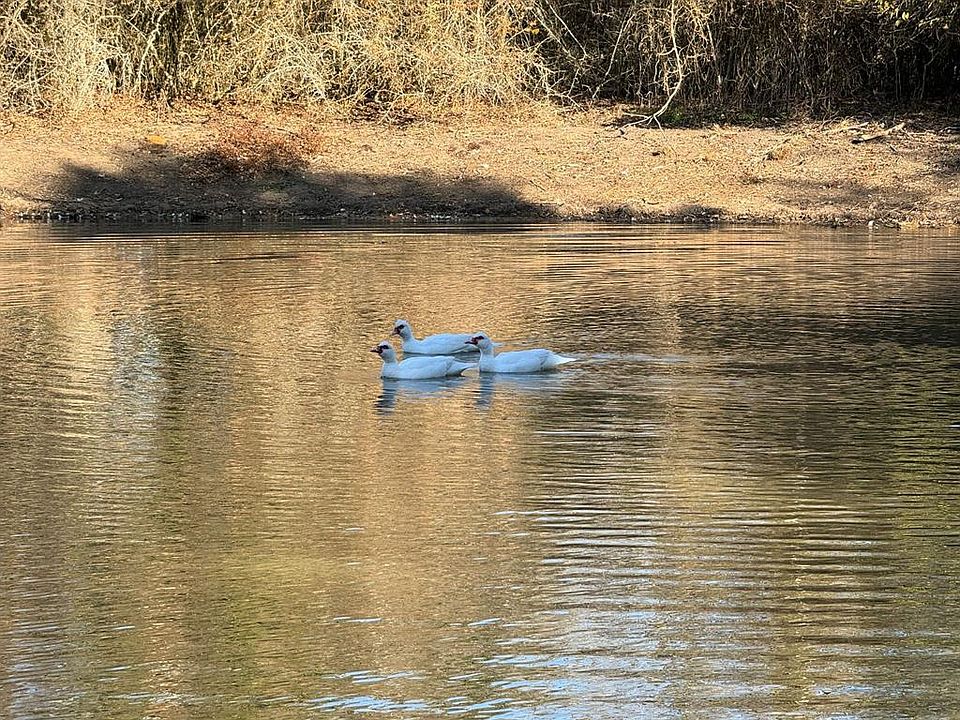 8405 Taylorsville Rd, Dale, TX 78616 MLS 9646568 Zillow