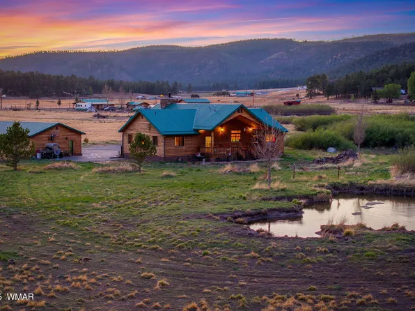 216 County Road 2311, Alpine, AZ 85920