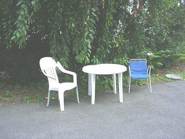 2 bed, 900 sqft, $2,800 — Photo 3