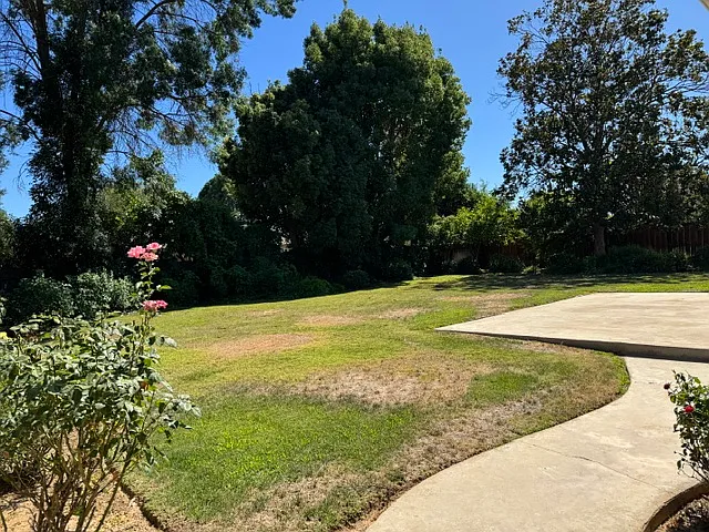 1429 W Tenaya Way — Photo 14