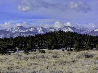 296 Arapaho Cir, Silver Cliff, CO 81252