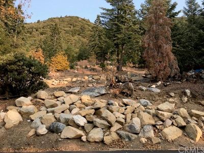 6197 Spruce Ave, Angelus Oaks, CA, 92305
