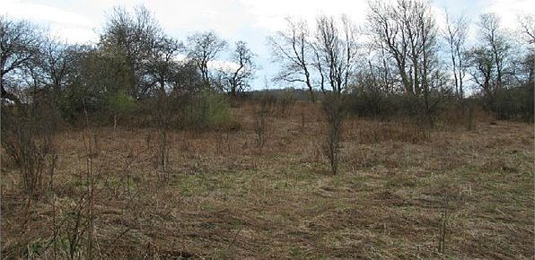 2nd image of 2095 Titus Lake Rd