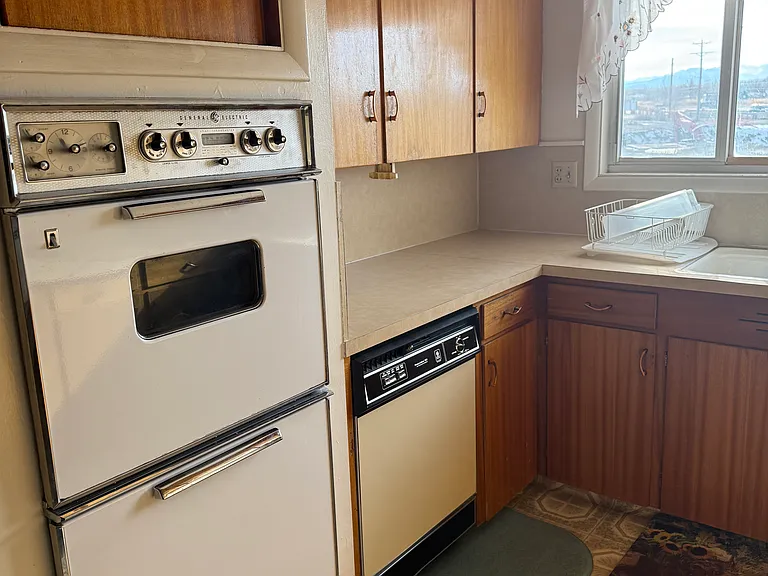 double oven and dishwasher