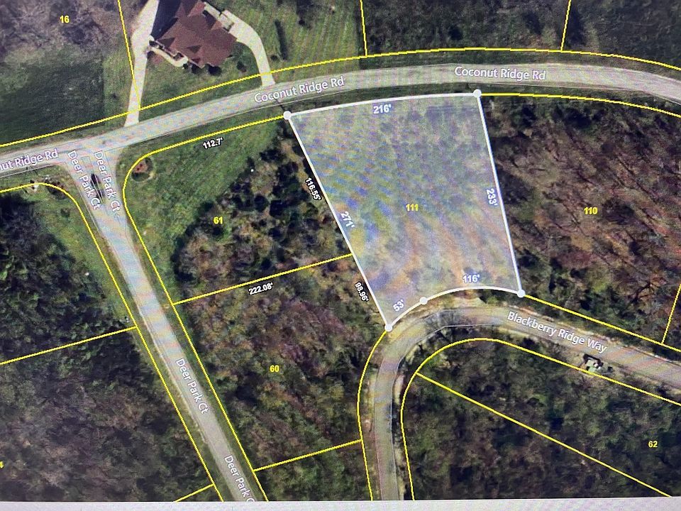2nd image of 111 Blackberry Ridge Way Lot 111