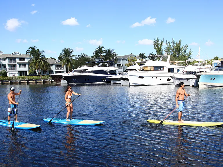 Paddle Barding In the Marina