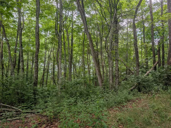 Lot 2 Highlands Gap Road, Scaly Mountain, NC 28775