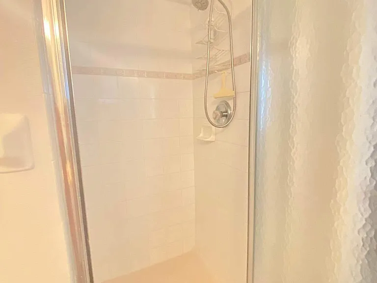 Guest bathroom shower