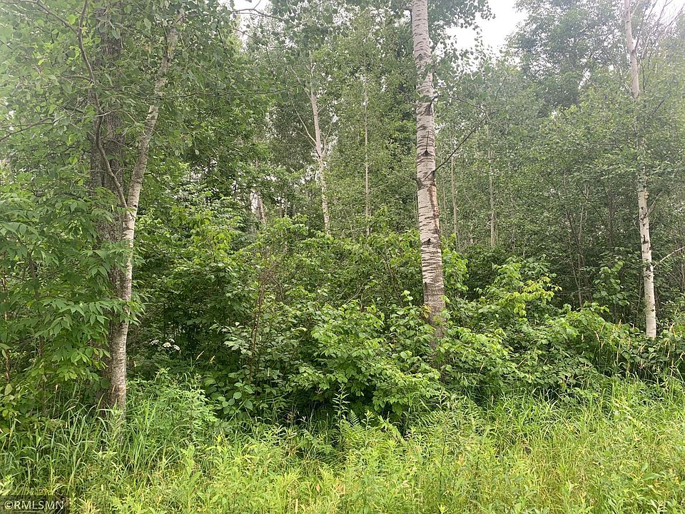 6920 Reed Ln, Kettle River, MN 55757 MLS 6400850 Zillow