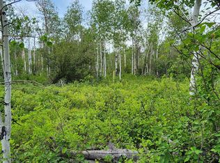 38 E Shoshone Rd, Oakley, UT 84055