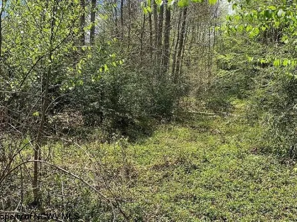 311 Tuscan Ridge Rd, Davis, WV 26260