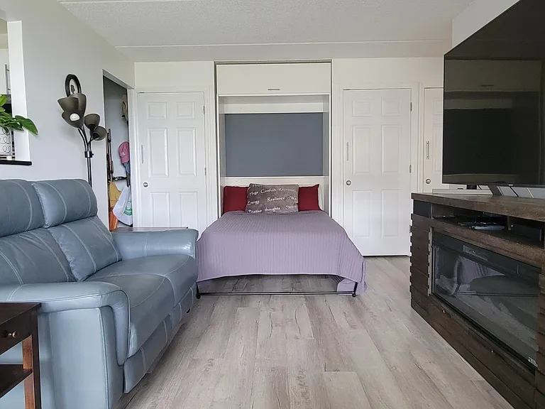 Living Room has a Murphy Bed