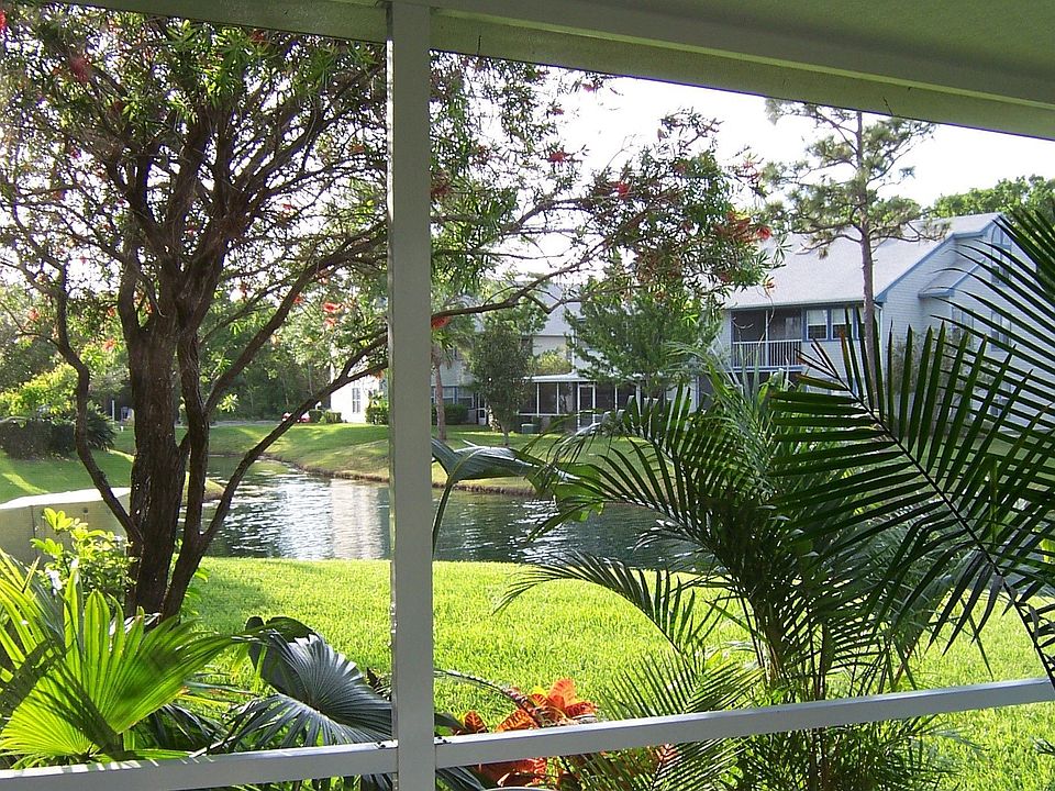 from the Lanai