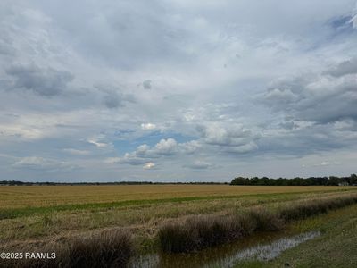 White Oak Hwy, Branch, LA, 70516